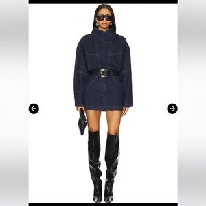 The Ronny Kobo Maddix Dress